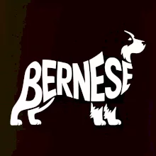 Bernese Mountain Dog nápis v těle
