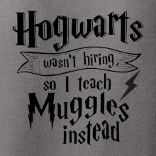 Harry - Hogwarts wasn’t hiring, so I teach Muggles instead