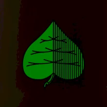 Prší - Zelený - prso