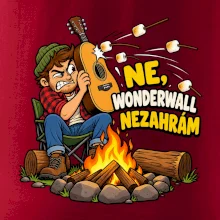 Ne Wonderwall nezahrám