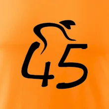 Cyklista slaví pětačtyřicítku (45)