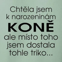 Chtěla jsem dostat k narozeninám koně