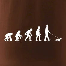 Jezevčík Evoluce muž