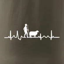 Ekg pastevec ovcí