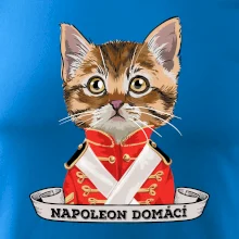 Napoleon domácí kočka