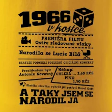 1966 v kostce