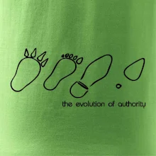 Evolution of authority
