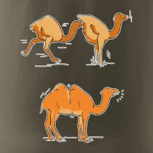 Pravda o velbloudech