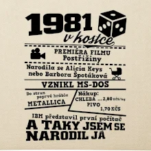 1981 v kostce
