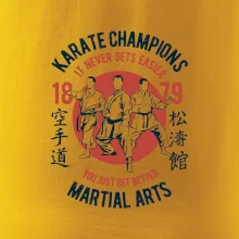 Karate Champions