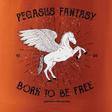 Pegasus fantasy