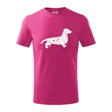 Jezevčík - Dachshund
