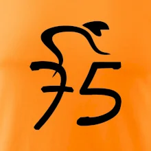 Cyklista slaví pětasedmdesátku (75)