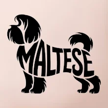 Maltézský psík nápis v těle