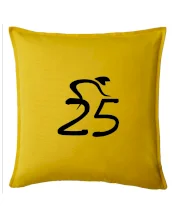 Cyklista slaví pětadvacítku (25)