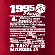 1995 v kostce