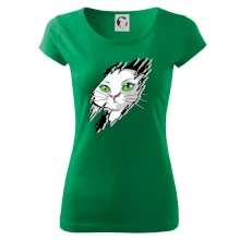 Kočka v roztrženém triku