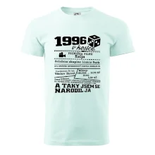 1996 v kostce