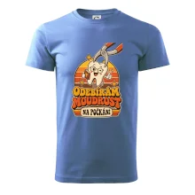 Odebírám moudrost na počkání