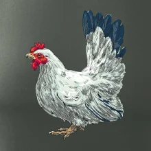 Slepice kreslená bílá