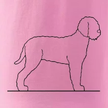 Lagotto romagnolo stojící