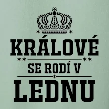 Králové se rodí v lednu