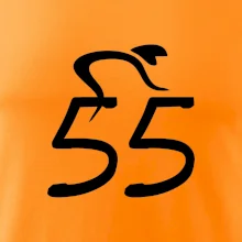 Cyklista slaví pětapadesátku (55)