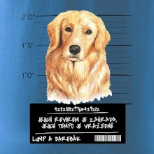 Lump a darebák zlatý retrívr