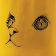 Kočičí oči černé