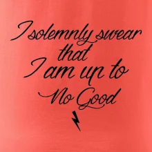 I solemnly swear that I'm up to no good