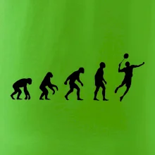 Evoluce Badminton