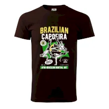 Brazilian Capoeira