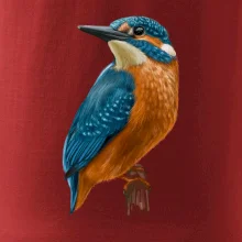 Lednáček kreslený