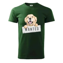 Zlatý retriever - štěně wanted