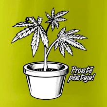 Konopi prostě pěstuju