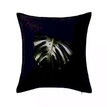 List monstery ve tmě