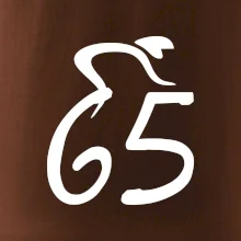 Cyklista slaví pětašedesátku (65)