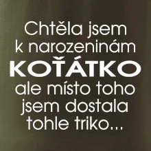 Chtěla jsem dostat k narozeninám koťátko