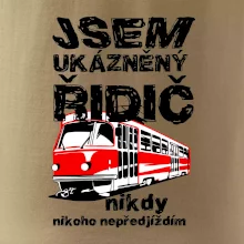 Jsem ukázněný řidič - tramvaj