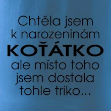 Chtěla jsem dostat k narozeninám koťátko