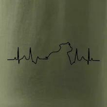 Stafordšírsky bulteriér EKG