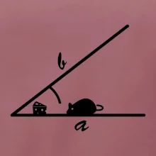 Matematická myš Matematická myš