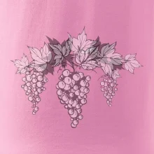 Vinné hrozny šedé