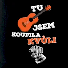 Tu kytaru jsem koupila kvůli tobě