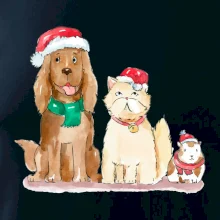 Veselé vánoce - pes, křeček a kočka