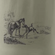 Kůň a hříbě malované