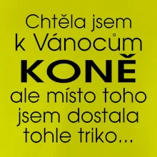 Chtěla jsem k Vánocům koně