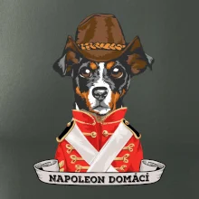 Napoleon domácí pes kříženec