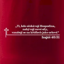 Citáty z bible - Izajáš 40:31