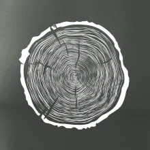 Letokruhy 70 bez věku